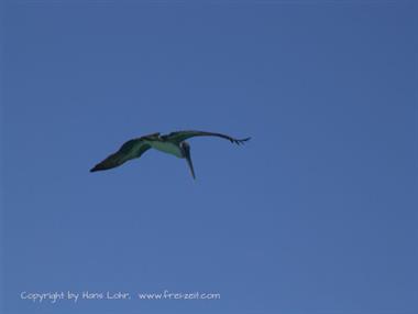 Die Strände auf Cayo Coco,_DSC01628_B720